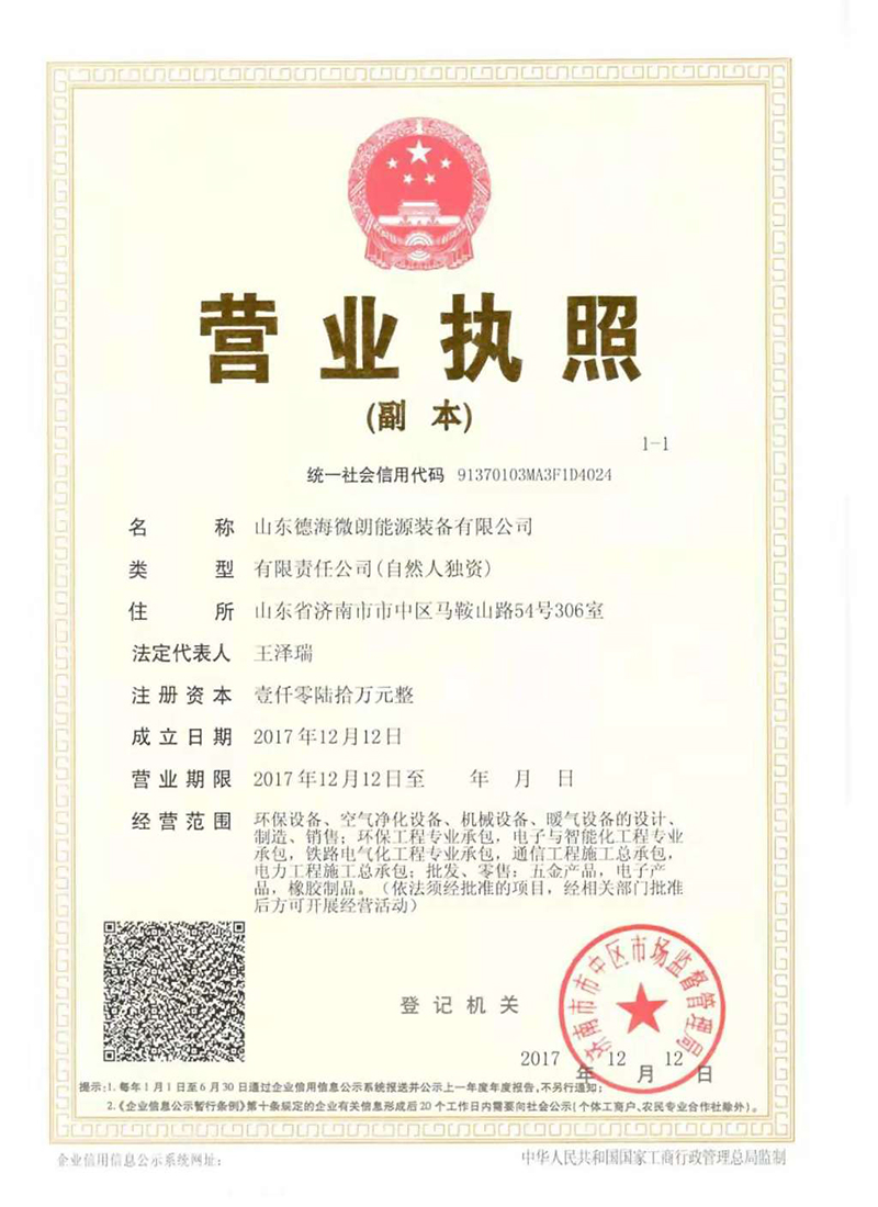 山東德海微朗能源裝備集團(tuán)